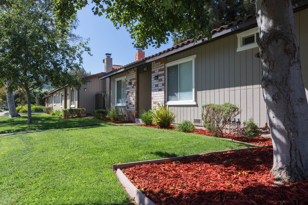 a grassy area with a tree in the middle of it
