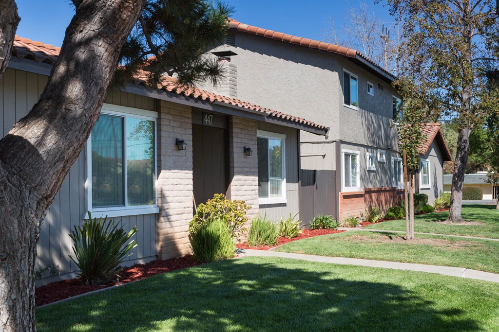 a house with a tree in front of it