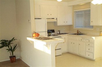 3331 Princeton Way 1 Bed Apartment for Rent - Photo Gallery 5