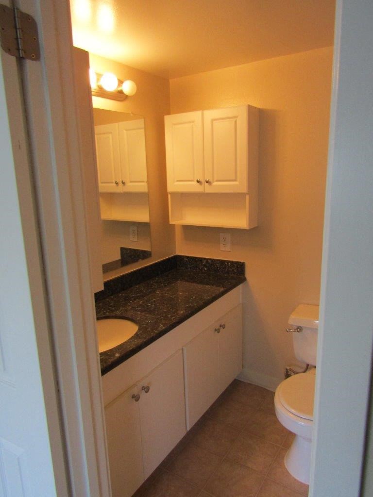 a bathroom with a sink and a toilet