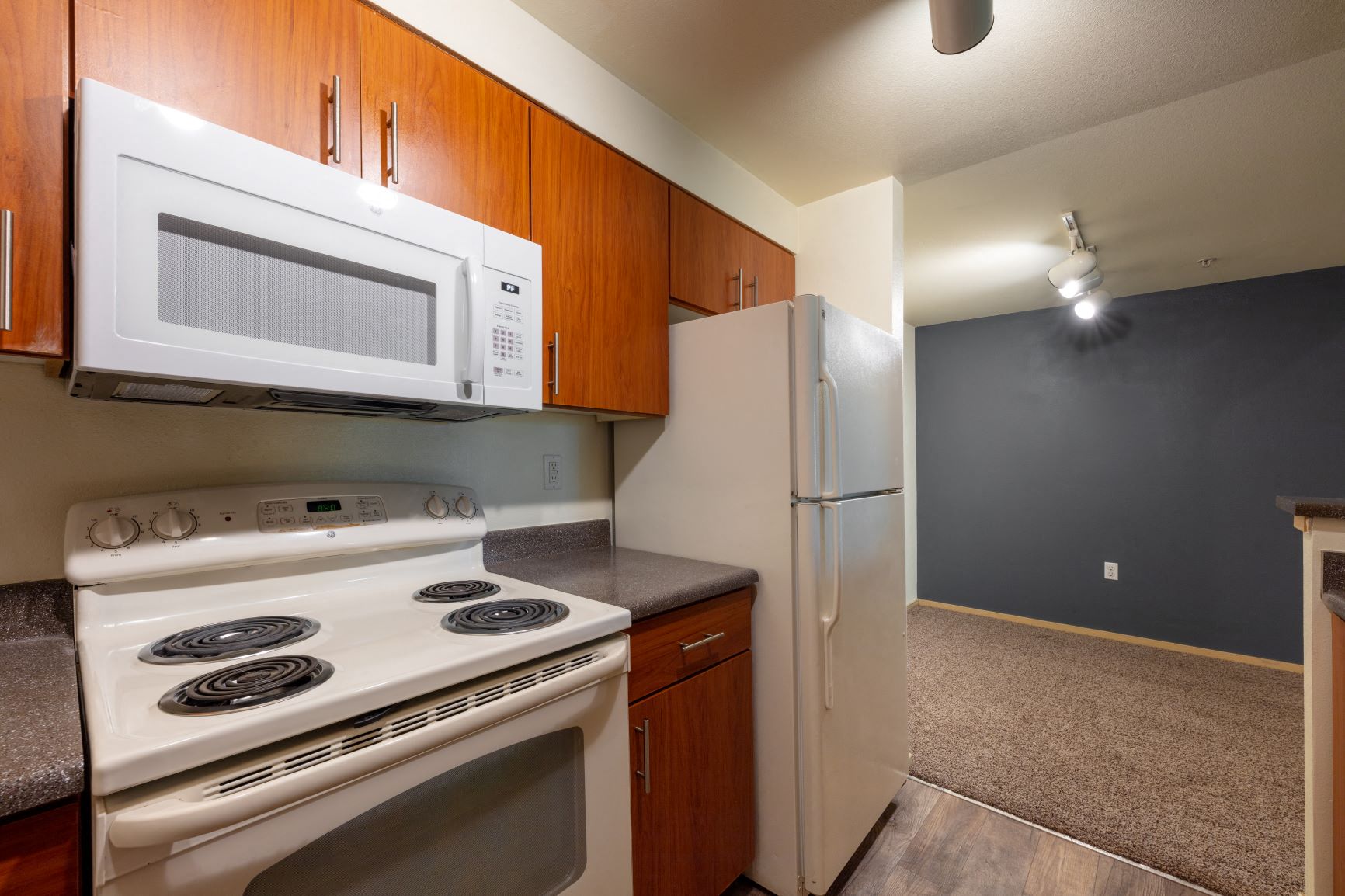 a kitchen with a stove microwave and refrigerator