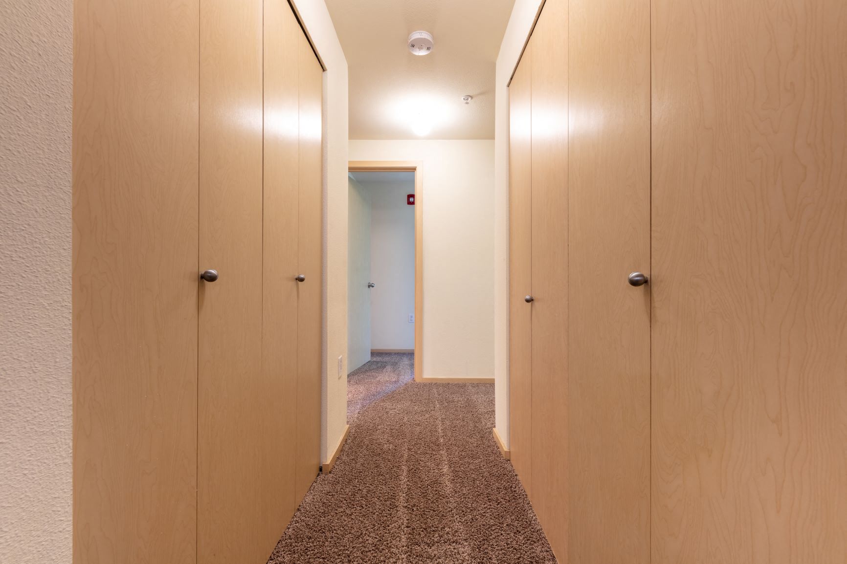a hallway with wooden cabinets and a carpet
