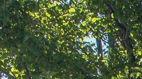 Bridgeside Landing Apartments In Taylorsville Ut