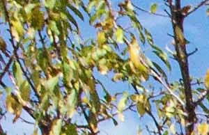 Cheap Apartments In West Valley Utah Cheap Apartments In West Valley Utah