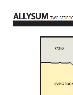 Allysum