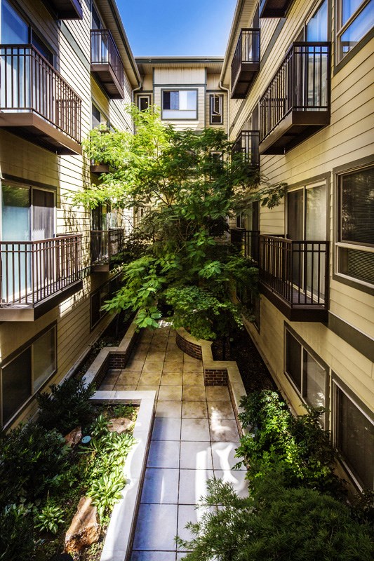 a courtyard with a tree in the middle