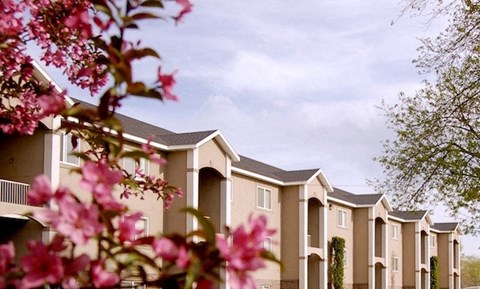 a row of houses with flowers in the foreground