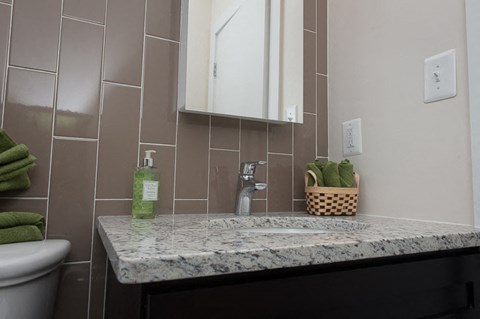 a bathroom with a sink and a mirror