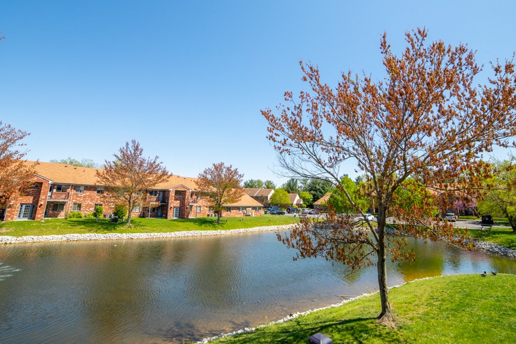 Pond view with trees and apartment building at Bradford Run in Kokomo, IN