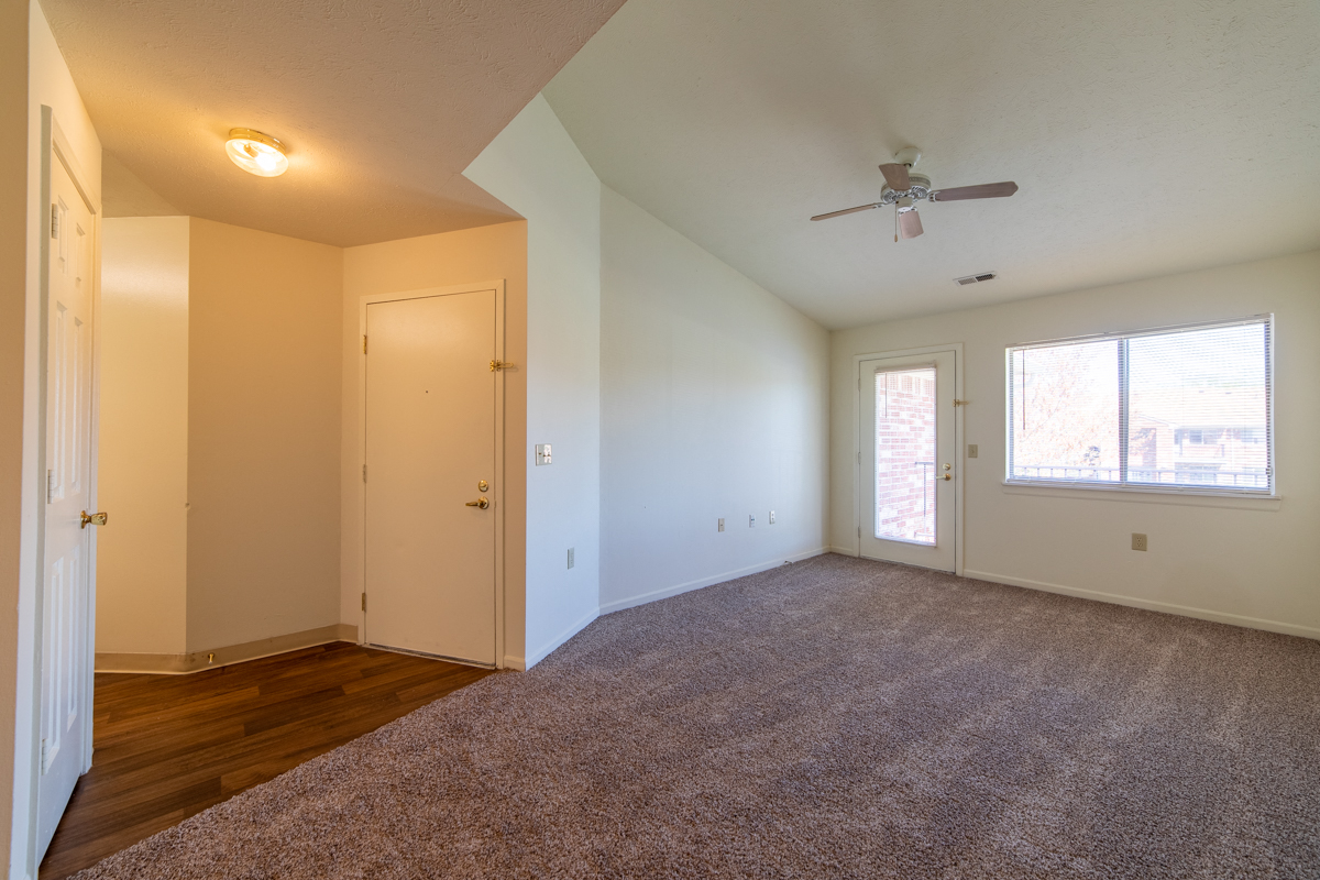 Carpeted living room