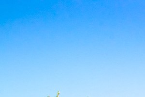 Bradford Run Apartments | Apartments in Kokomo, IN