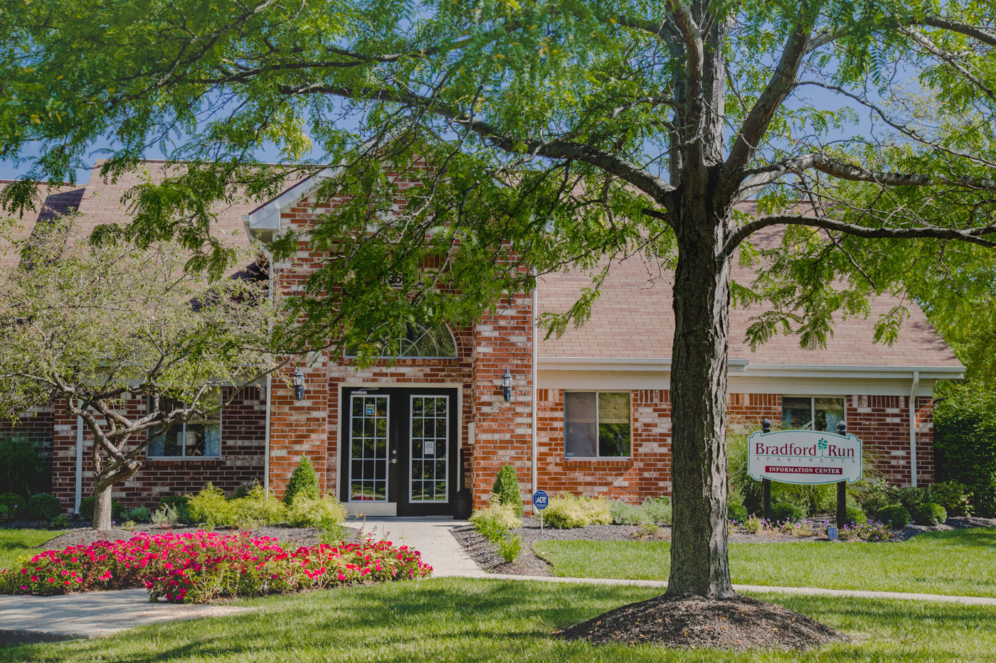 mature tree and landscaping outside leasing center 