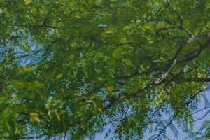 Bradford Run Apartments | Apartments in Kokomo, IN