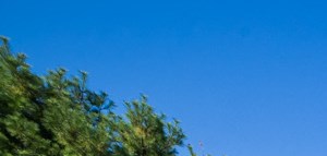 Bradford Run Apartments | Apartments in Kokomo, IN