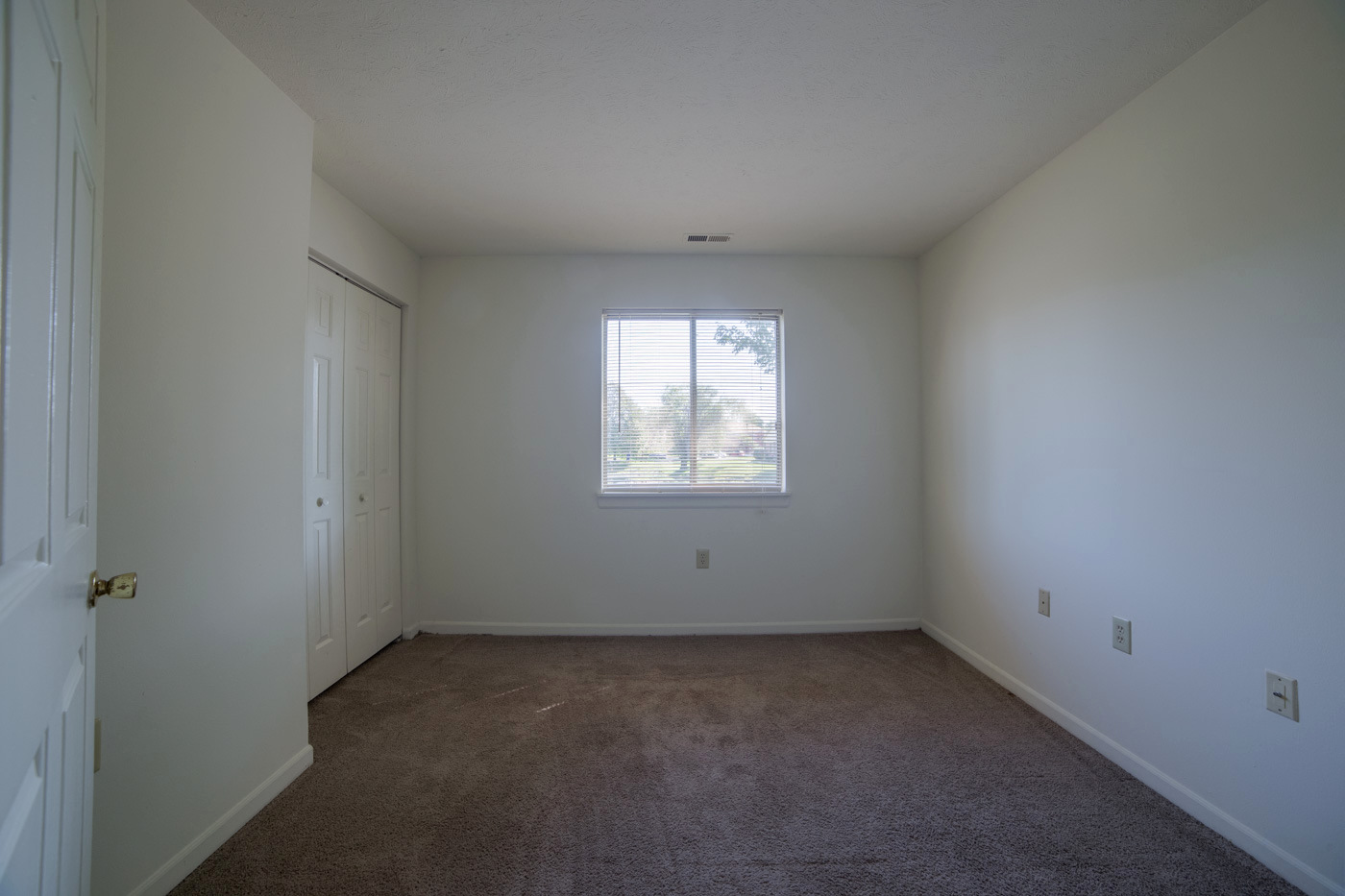 carpet in Bedroom