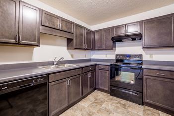 kitchen with new appliances and dark cabinets 