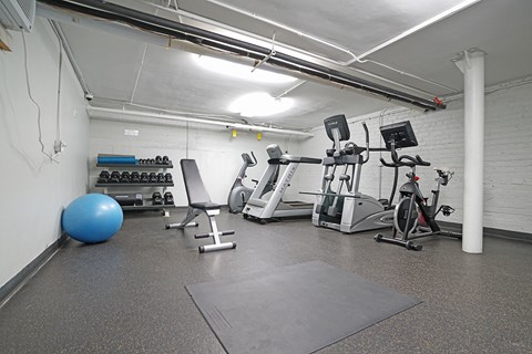 A gym with a blue ball, weights, and exercise equipment.