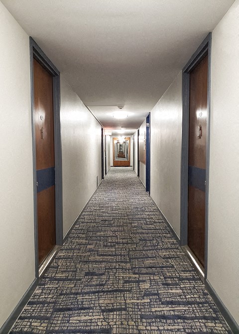 a hallway with a carpeted floor and doors in a building