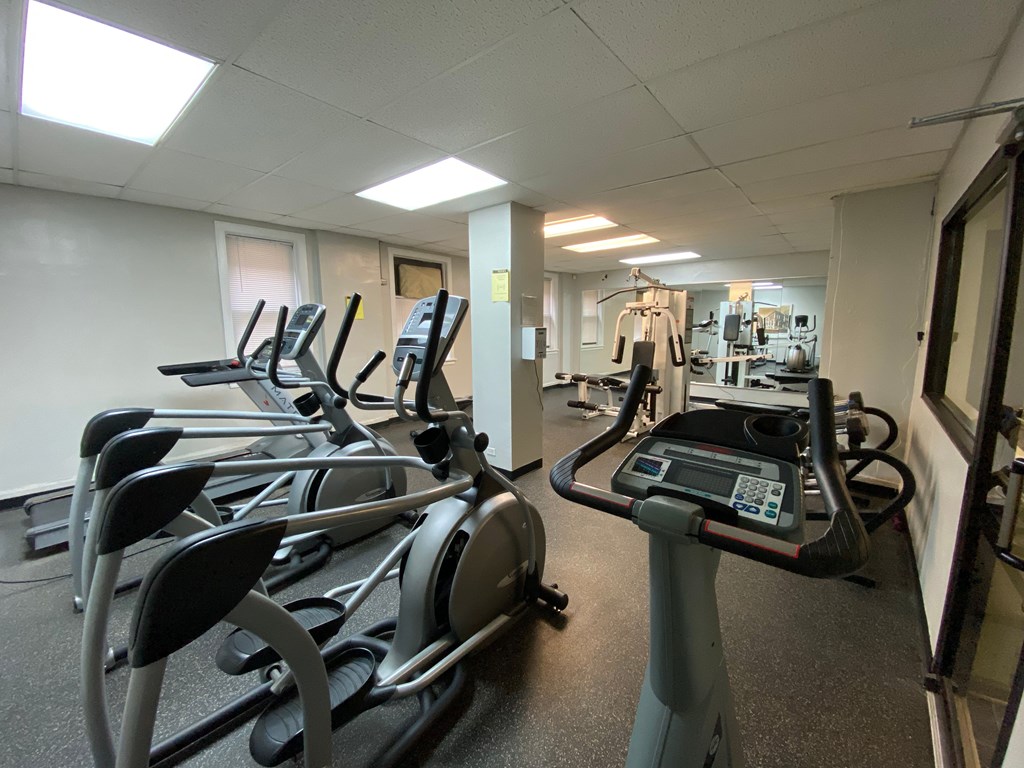 A gym with treadmills and elliptical machines.
