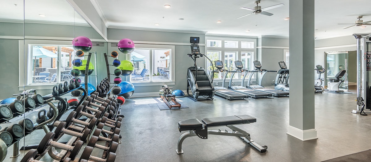 the gym is equipped with a variety of weights and cardio equipment