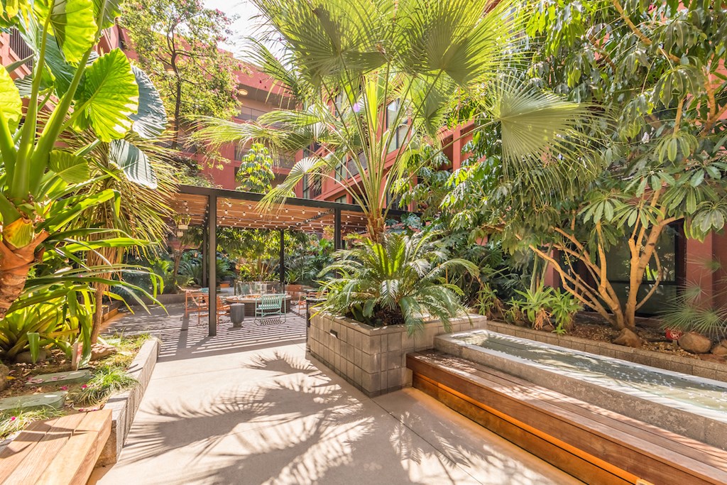 a garden with benches and plants and a pool