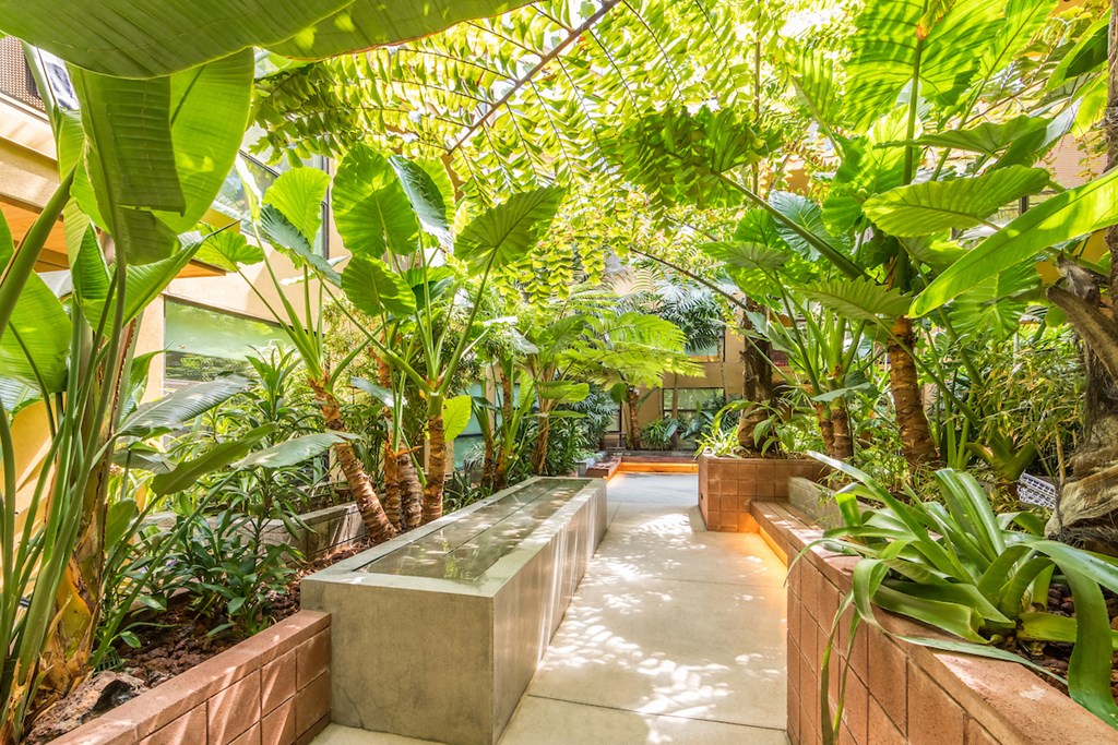 a courtyard with plants and a water fountain