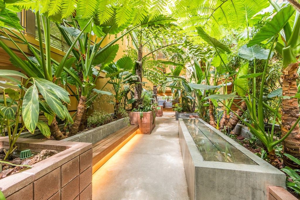 a path through a greenhouse with plants and a water feature