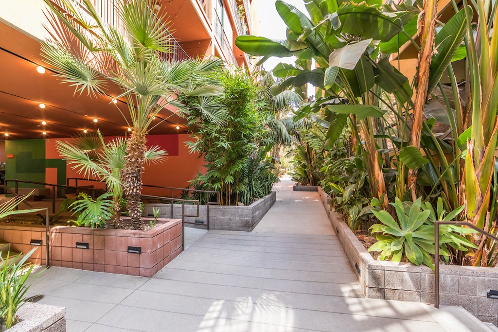 a walkway with palm trees and plants in a building