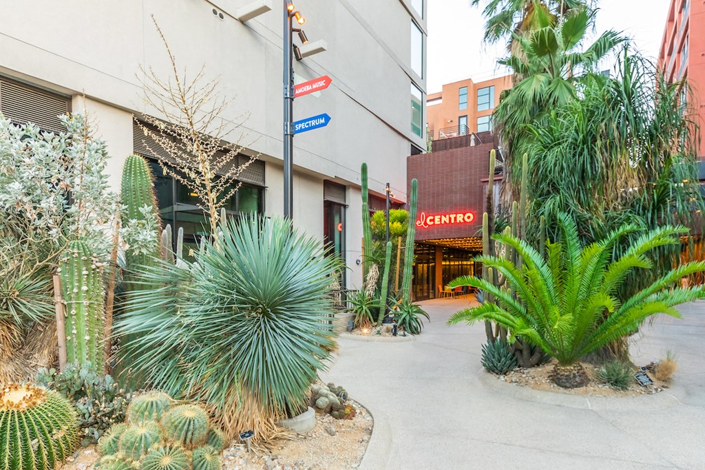a sidewalk with plants in front of a building