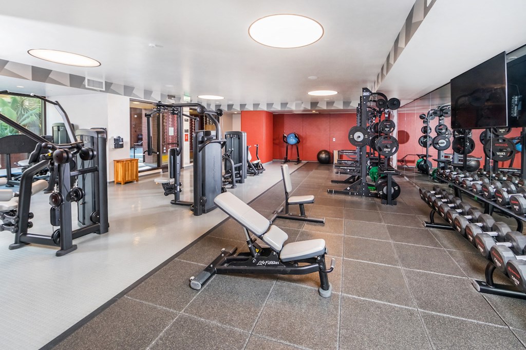 a gym with a lot of weights and cardio equipment