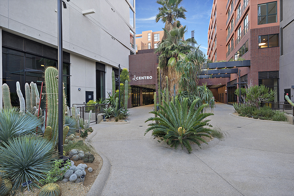 a courtyard with palm trees and succulent plants in front of a building
