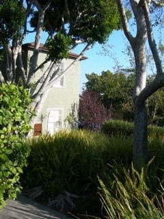 A house is surrounded by trees and shrubs.
