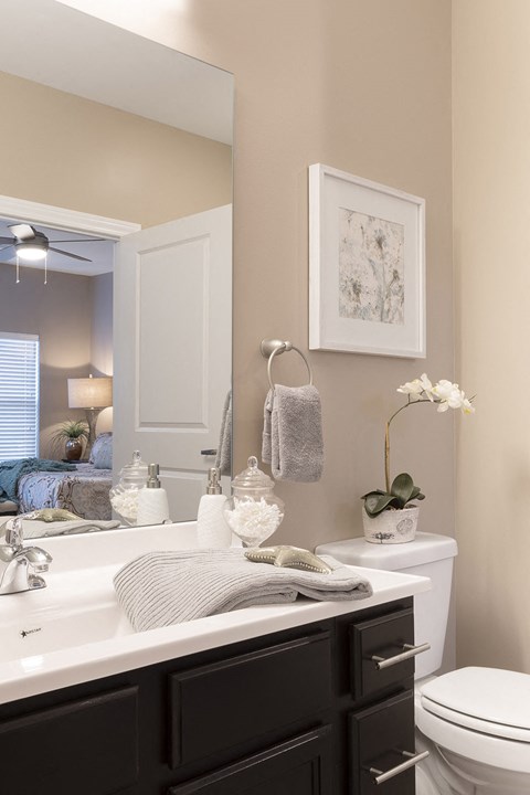 bathroom mirror and white vanity at Thirteen01 at Hartman Lakes, Shiloh, IL, 62269