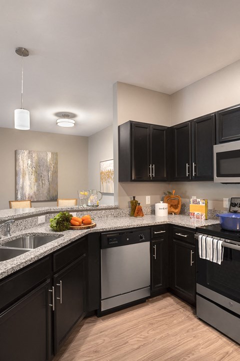 kitchen with dark cabinets and stainless steel dishwasher, microwave and range at Thirteen01 at Hartman Lakes, Illinois, 62269