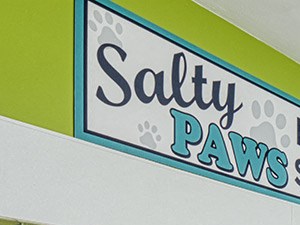 Pet Spa at Compass at City Center