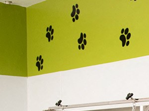Compass at City Center Pet Friendly