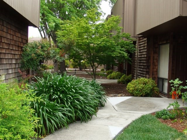 a sidewalk in front of a building