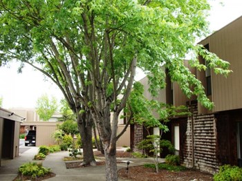825 Russell Ave 2 Beds Apartment for Rent - Photo Gallery 6