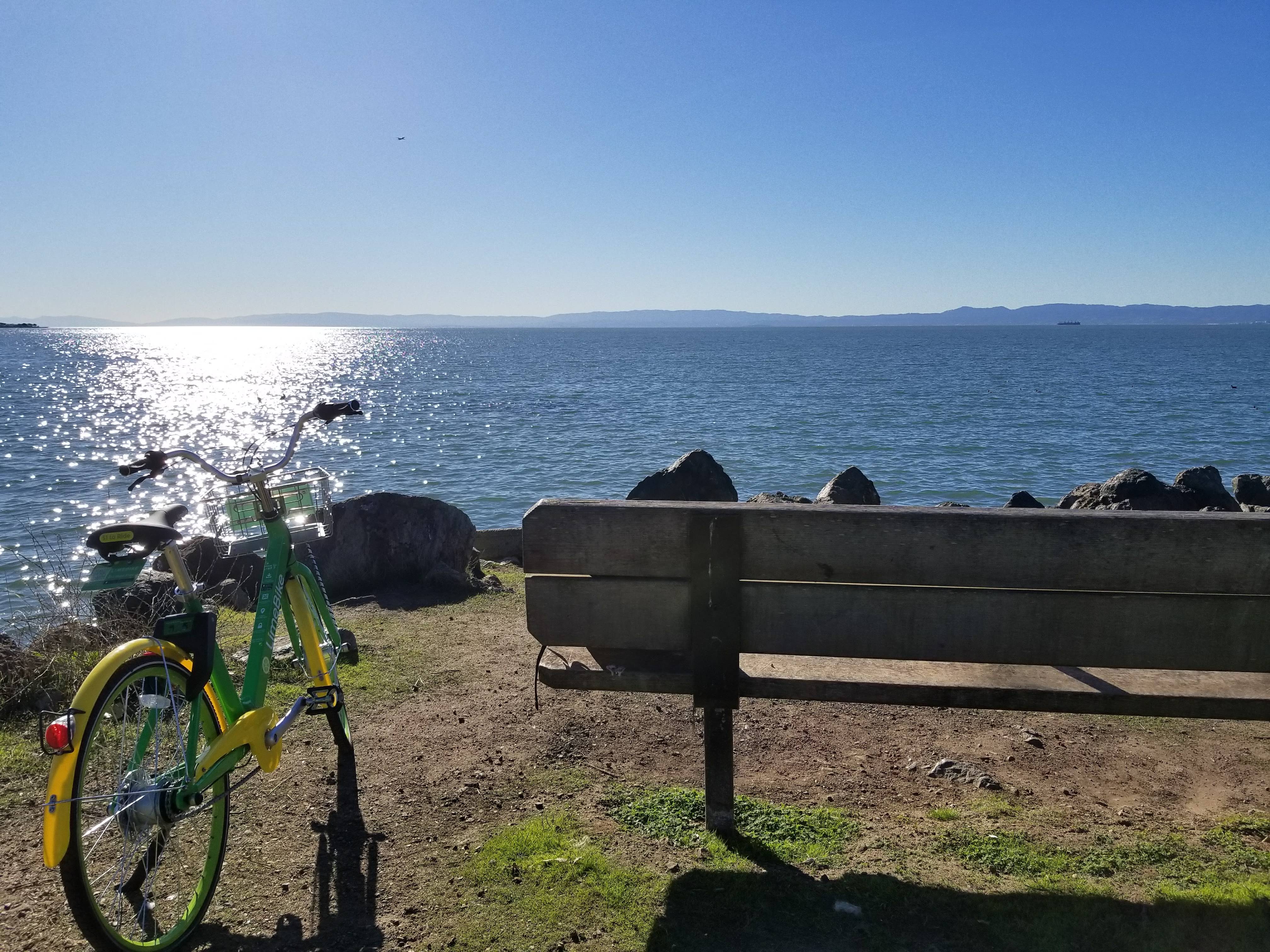 South Shore Apartments