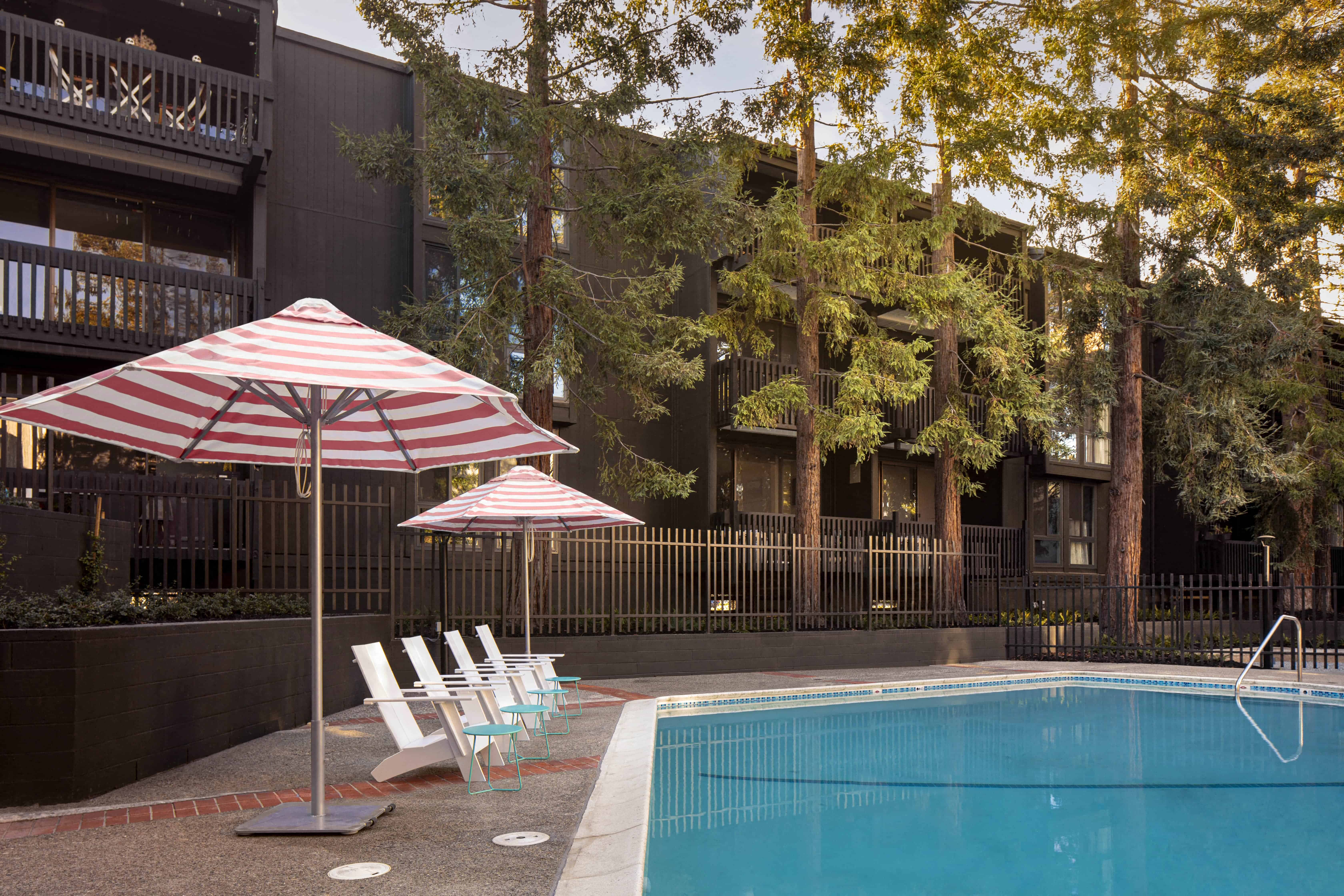 South Shore Apartments