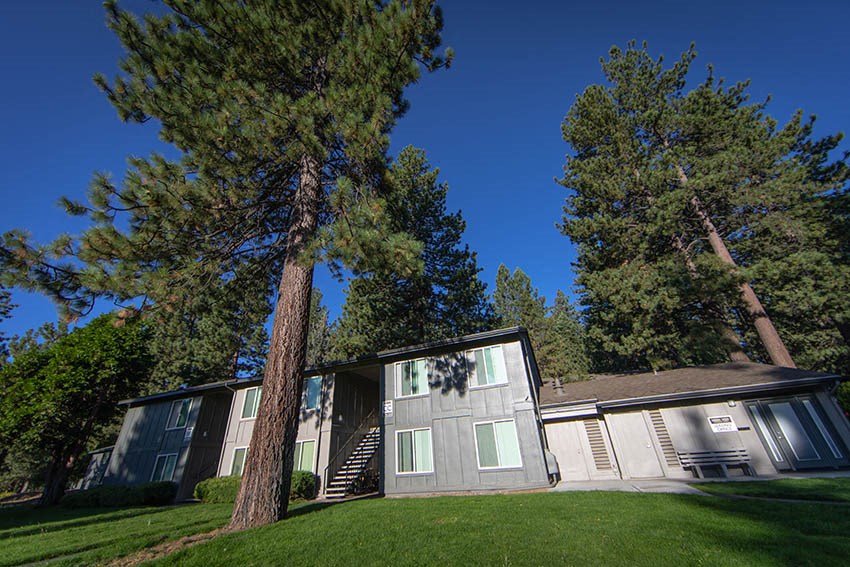 a house with a large tree in front of it