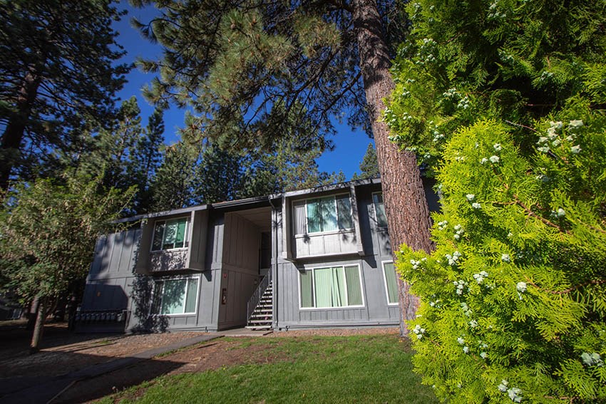 a house with a tree in front of it
