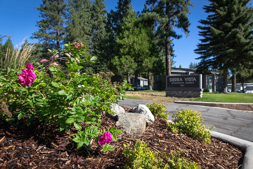 a park with flowers and a sign
