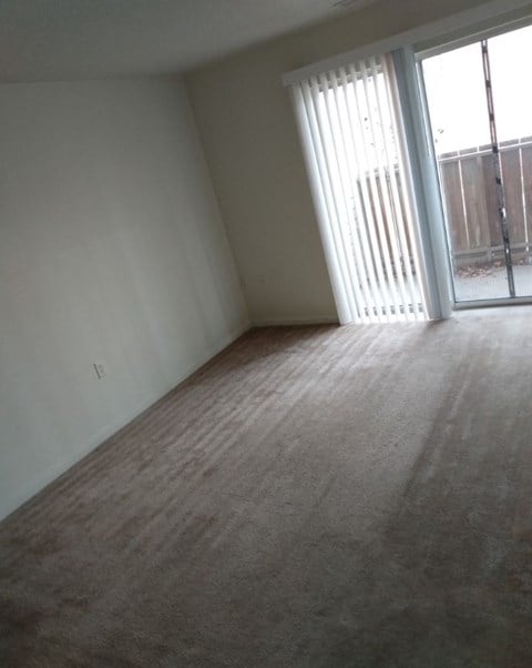 A room with a carpeted floor and a sliding glass door.