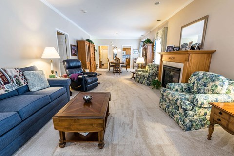 a living room with couches and chairs and a fireplace
