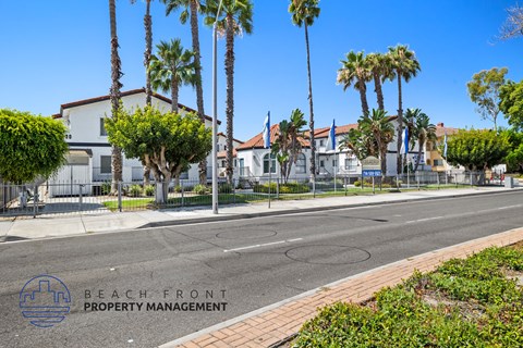 a street with palm trees and houses on the side of a street