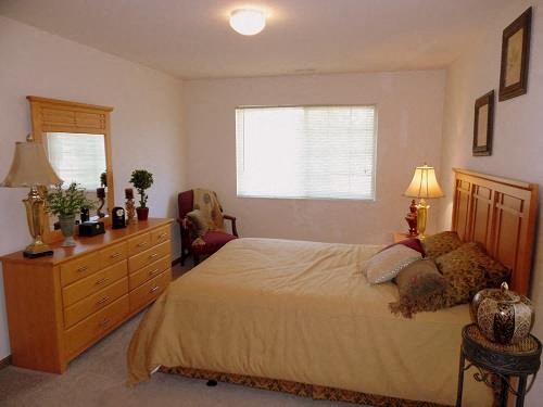 a bedroom with a bed and a dresser