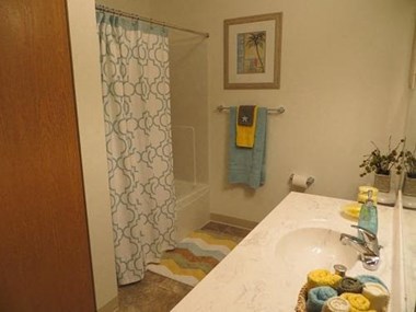 15503 River Birch Court 1-2 Beds Apartment for Rent - Photo Gallery 1