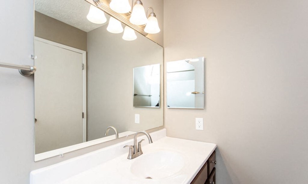 a bathroom with a sink and a large mirror