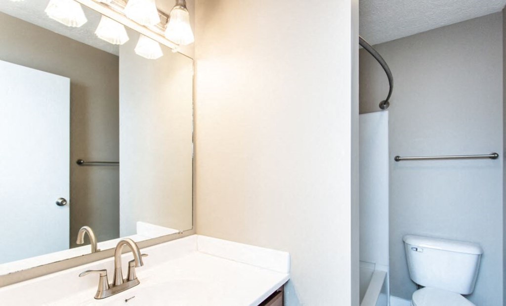 a bathroom with a sink and a mirror and a toilet